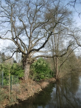 Brüggen : An der Schwalm entlang, vom Ortskern Brüggen bis zum Borner See ( 3 km Länge ), ist ein schöner Abschnitt.